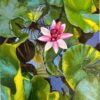 "Lirio" Pintura original sobre lienzo